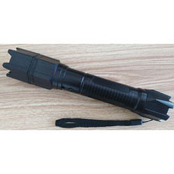 個人能否持有電棍？